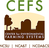 cefs