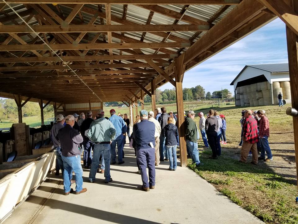 FIELD DAY BEEFFIELDDAY
