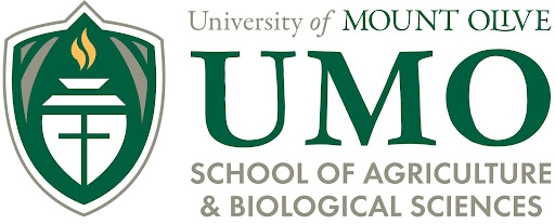 UMO logo
